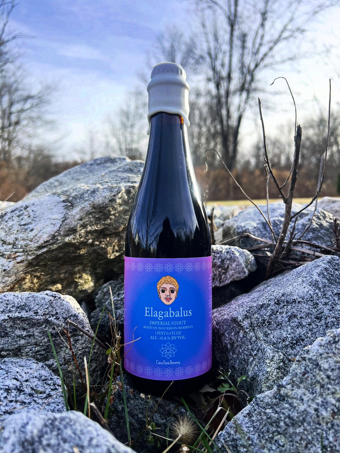 Instagram social icon, it can be clicked to reach the Caius Farm Brewery Instagram page.