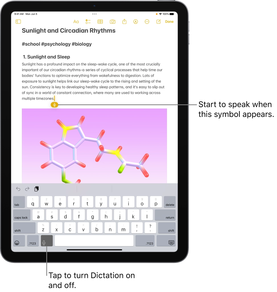 iPad transcribe voice to text