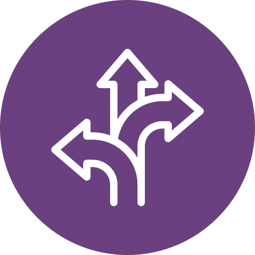 Decision Evolution icon