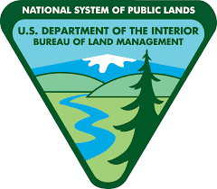 Wildland Firefighter (Assistant Engine Captain)
