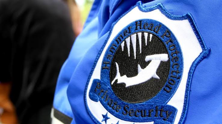 Hammer Head Security