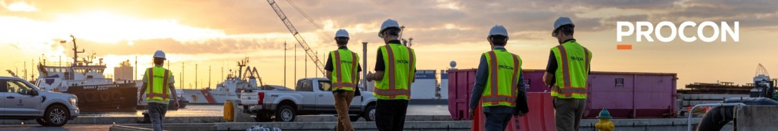 Procon Consulting
