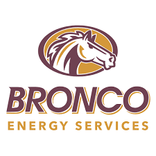 Offshore Safety Rep