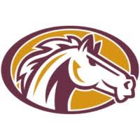 Bronco Energy Services