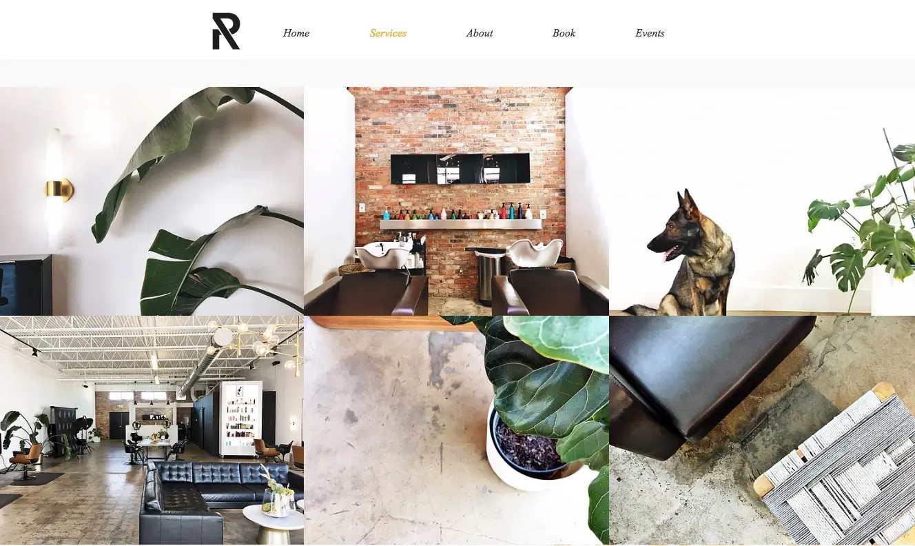 Rossi Park website and logo/branding