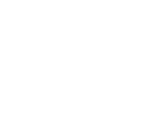 Česká spořitelna