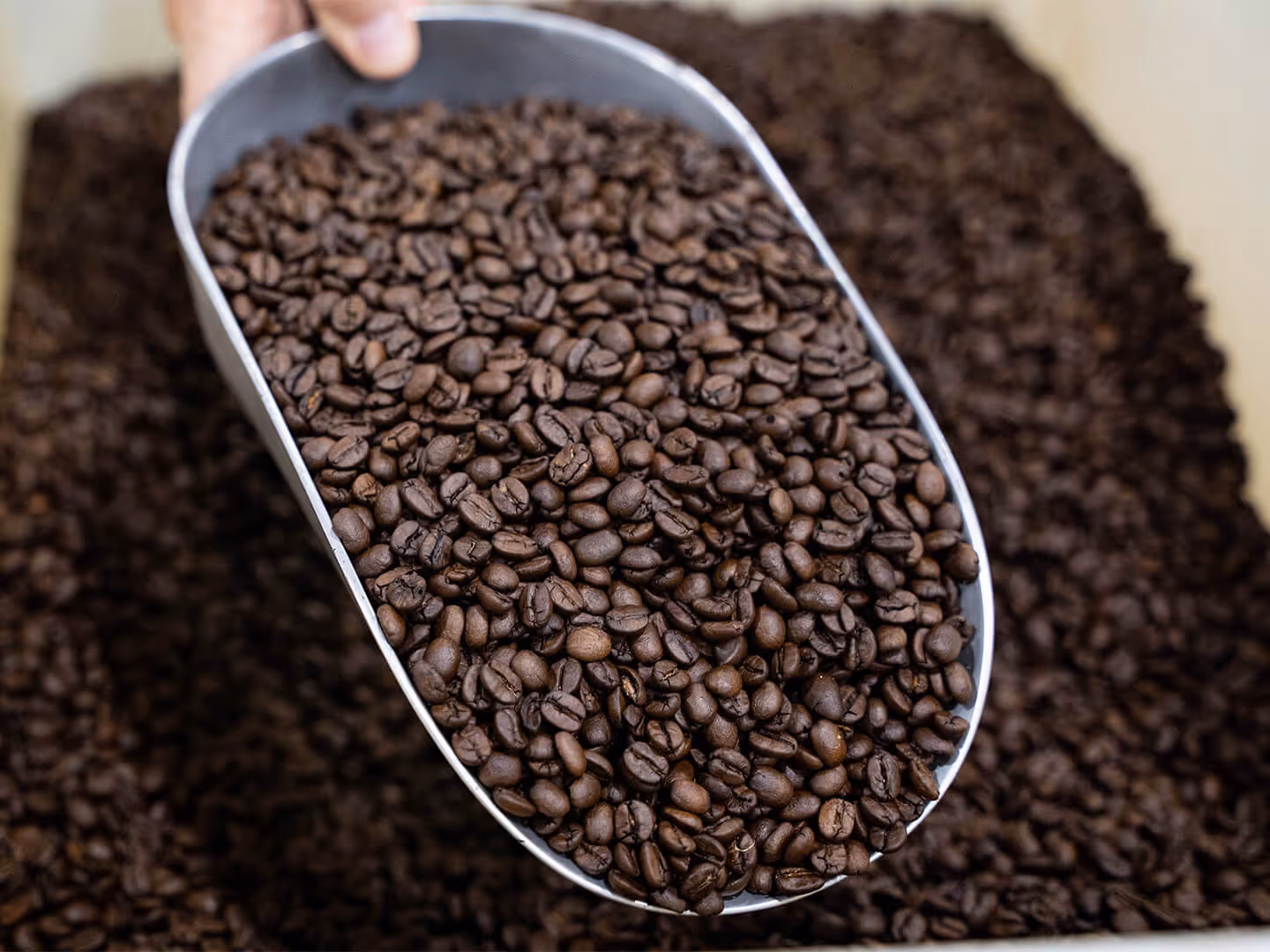 Mill City Roasting Company