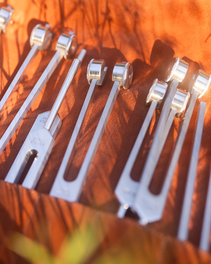 A collection of tuning forks in a orange fabric holder 