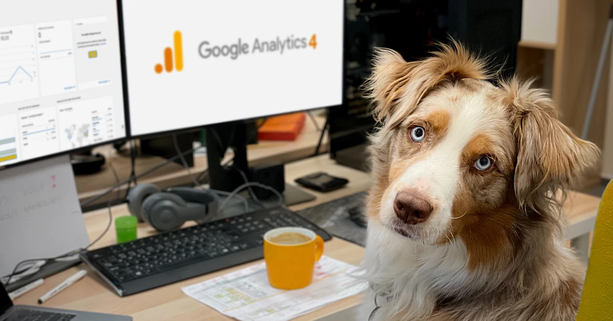 Hund der vor Desktop Computer mit Google Analytics 4 sitzt und in die Kamera schaut