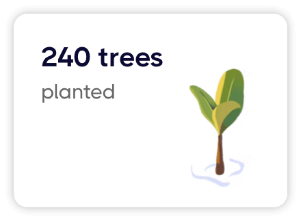 240 mangrove trees planted for every roof we install