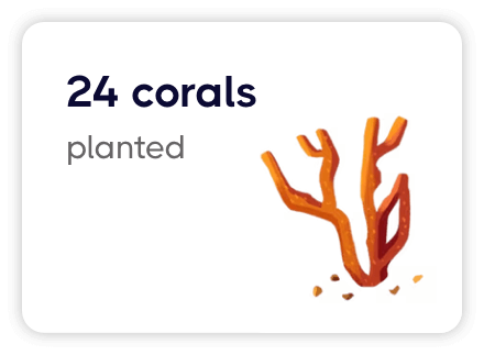 24 corals planted for every roof we install