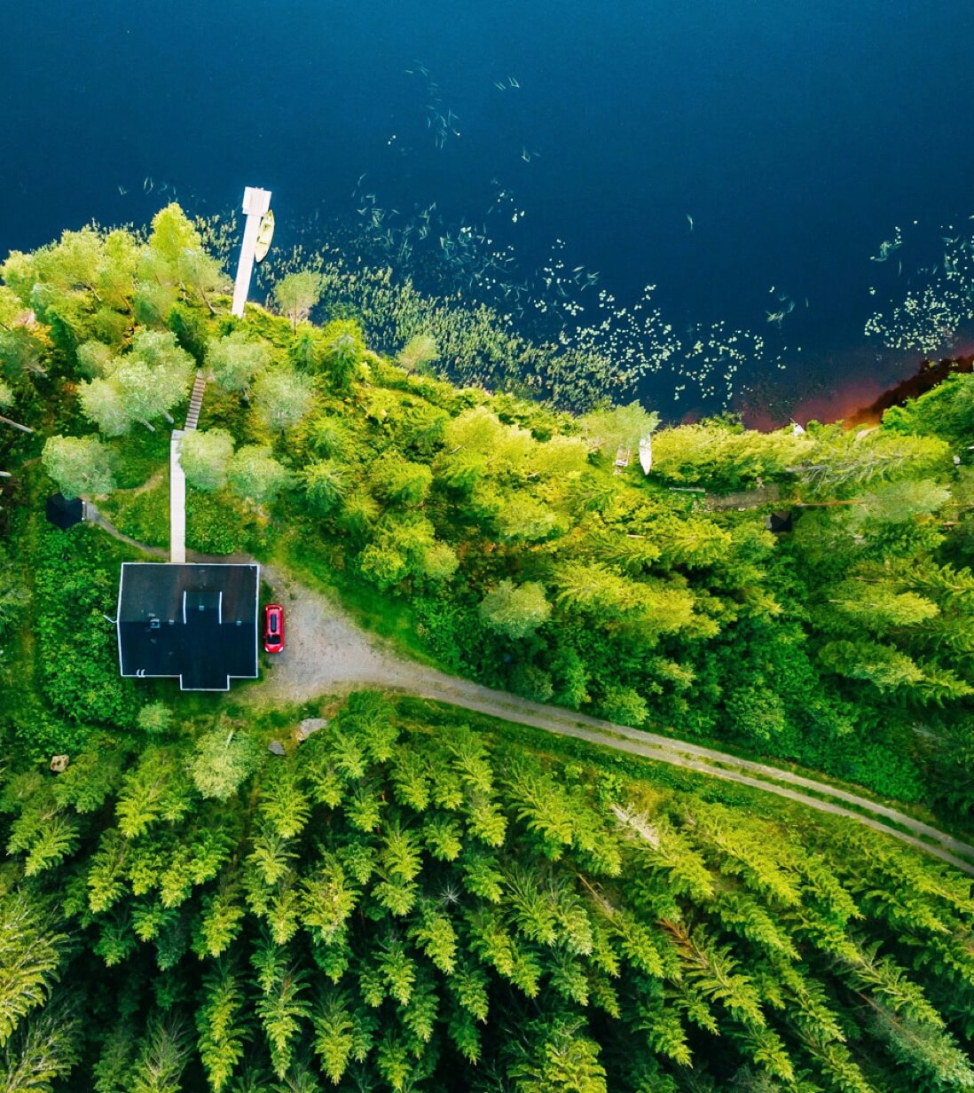 Aerial image of rooftop surrounded by green trees