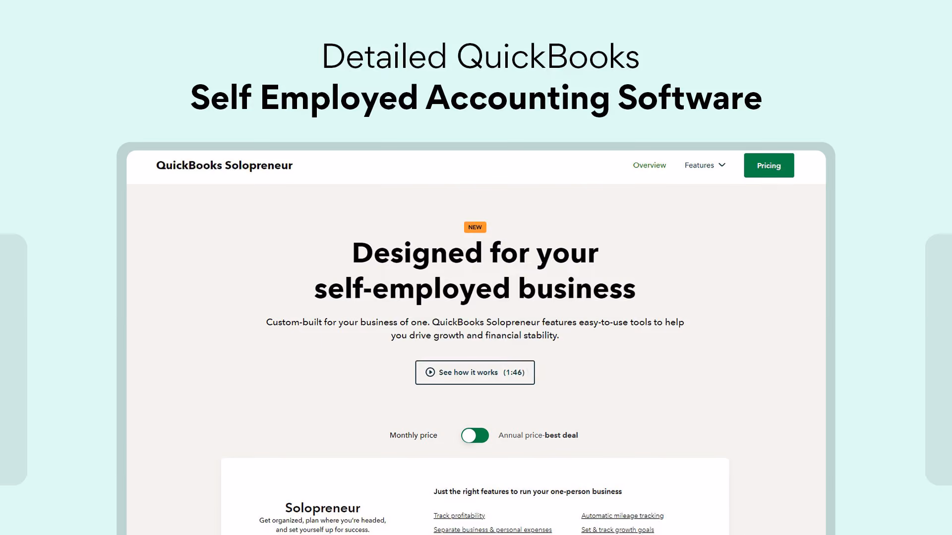 Detailed Quickbooks Self Employed Accounting Software Guide