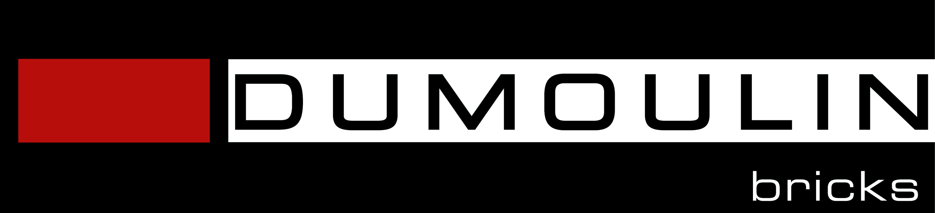 Logo DUMOULIN BRICKS