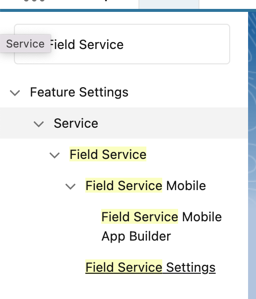 Look for Field Service