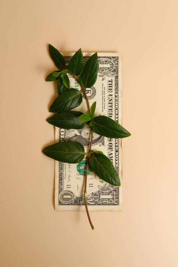 10 ways your NGO can enhance donor stewardship with Salesforce
