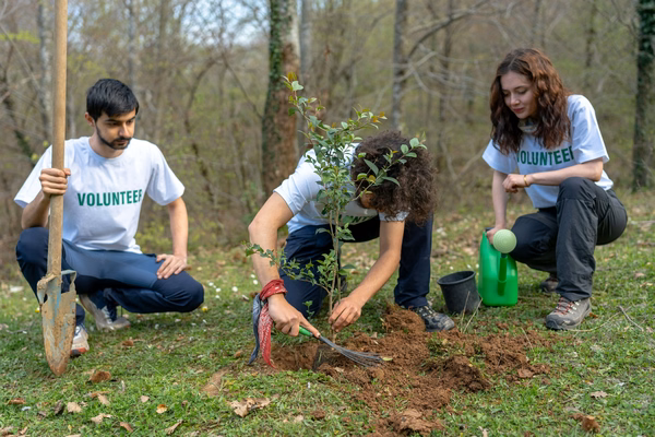 How to improve volunteer management with Salesforce: 3 real-life success stories and practical tips