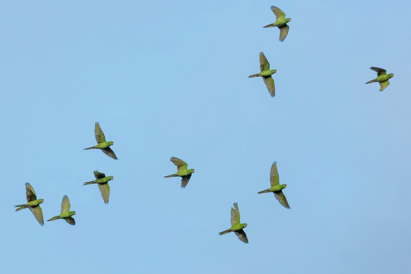 How to migrate from HubSpot to Salesforce