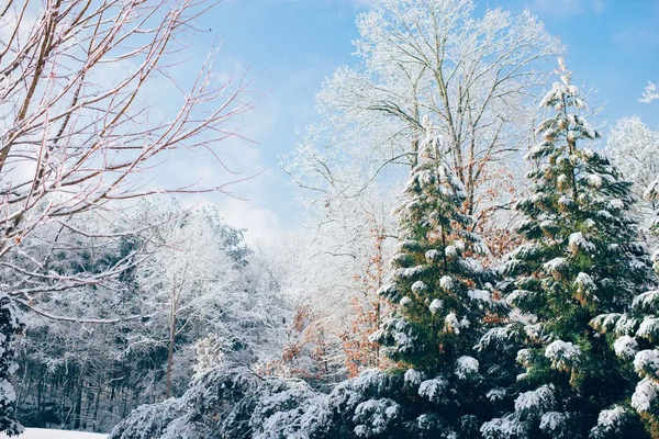 Salesforce Winter’24 - new features released
