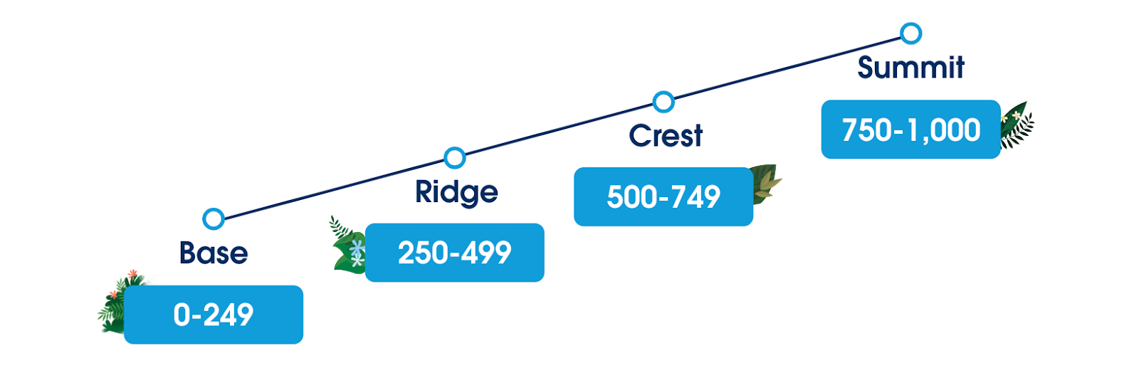 Salesforce Consulting Partner program tiers