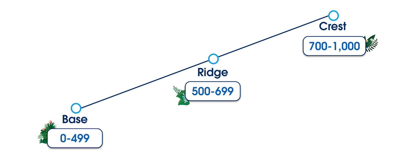 Managed Service Provider (MSP) tiers