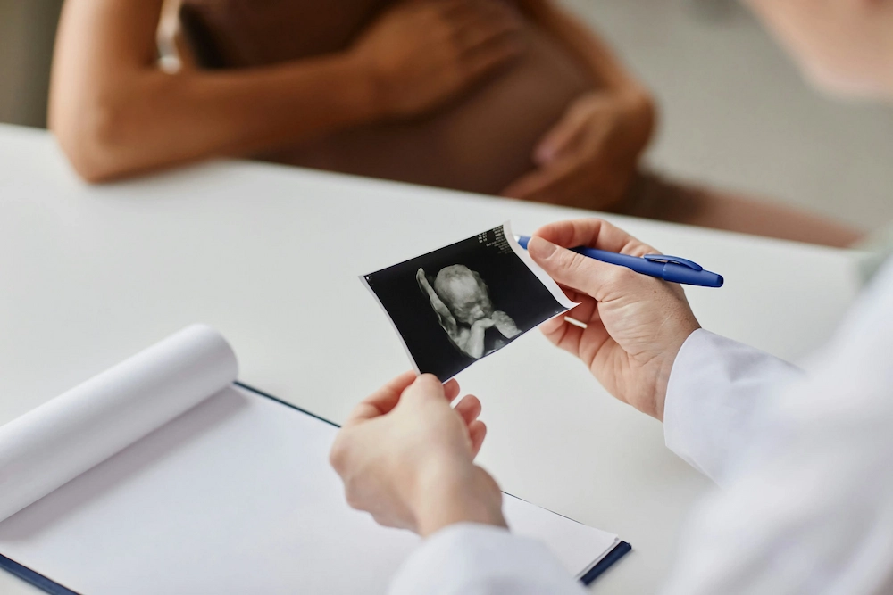 Surrogacy agency