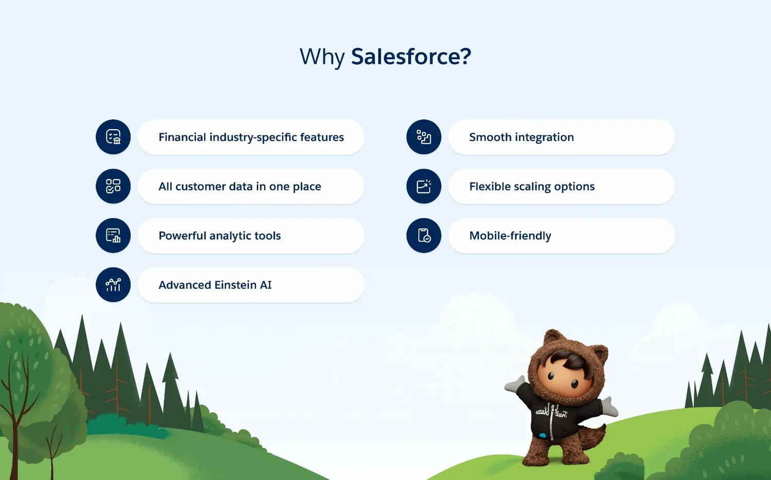 why Salesforce?
