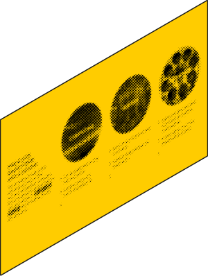 An richly animated set of presentation slides