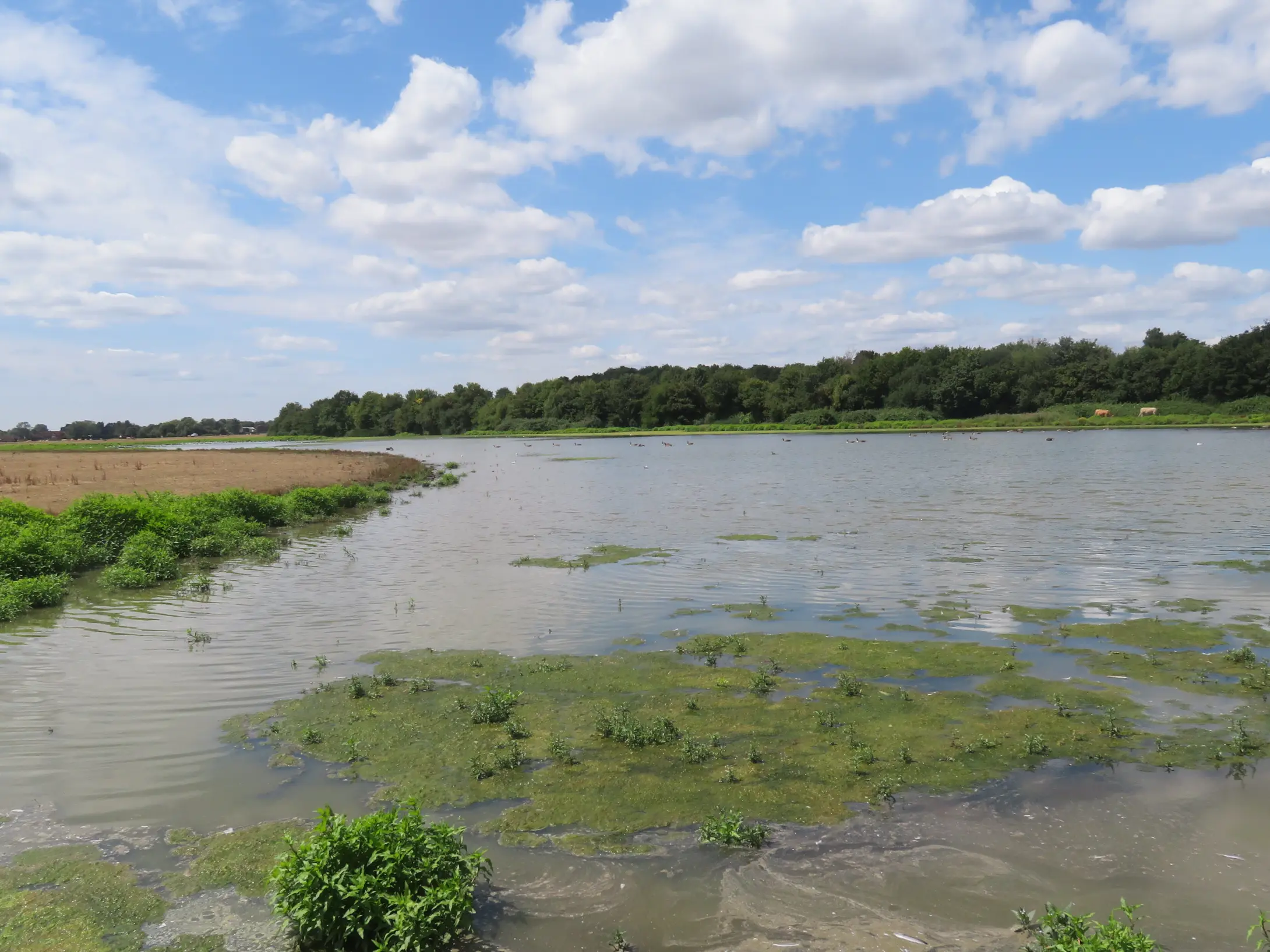 A view of the flooded area at Dorney Common