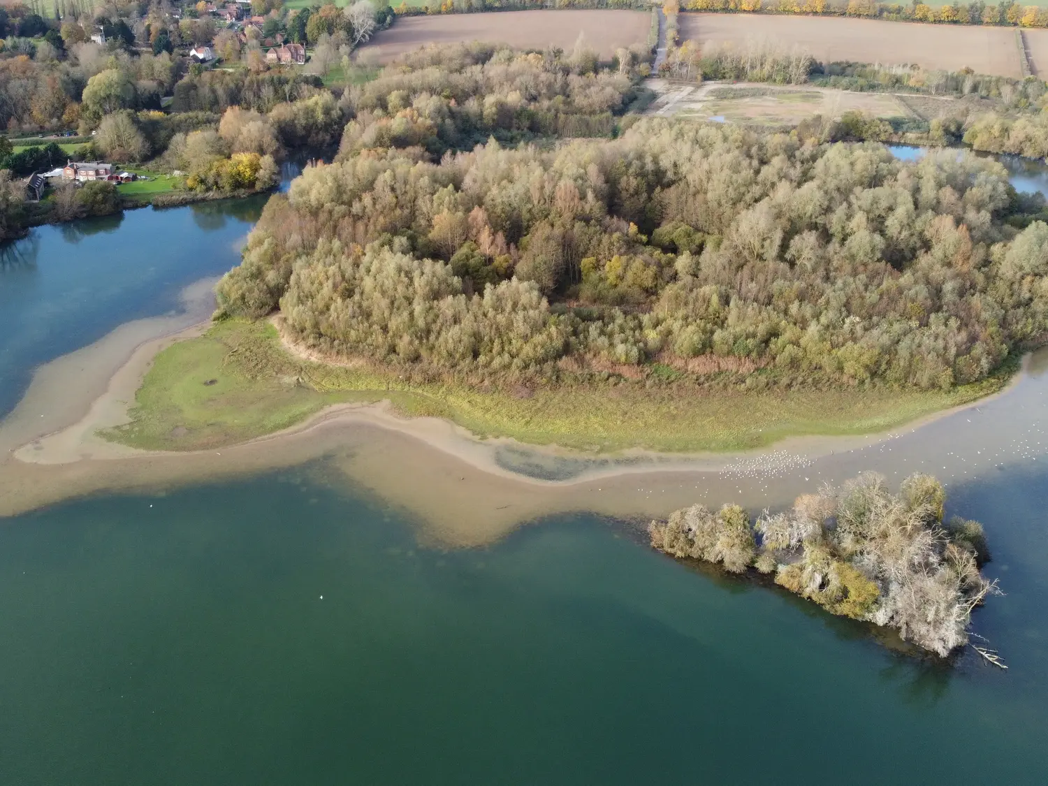 A view of exposed mud flats along the edge of a wooded area at Little Marlow Gravel Pit