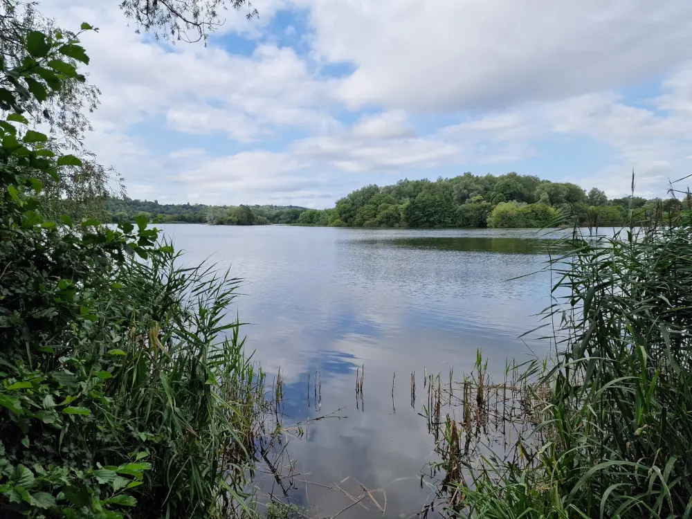 A view of the lake and wooded areas of Little Marlow Gravel Pit, viewed from the NE corner