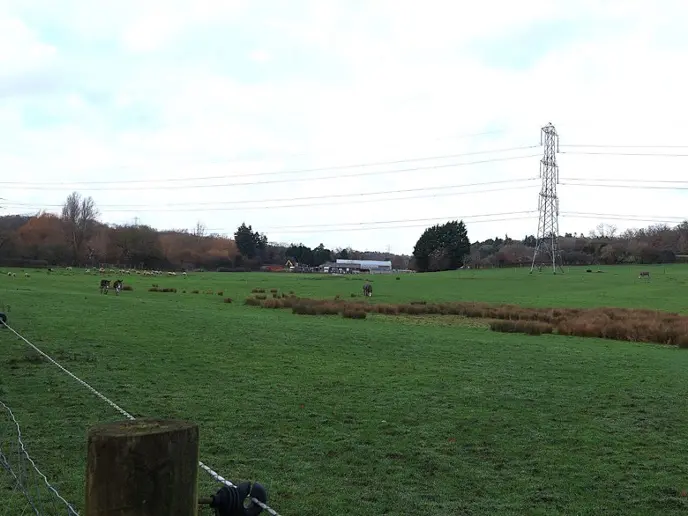 a horse paddock at Fulmer Marsh looking across to Dukes Valley