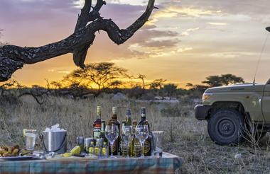 Onguma Nature Reserve game drive