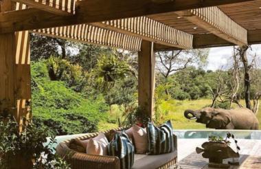 Thornybush Game Reserve: Siviti Timbavati Plains