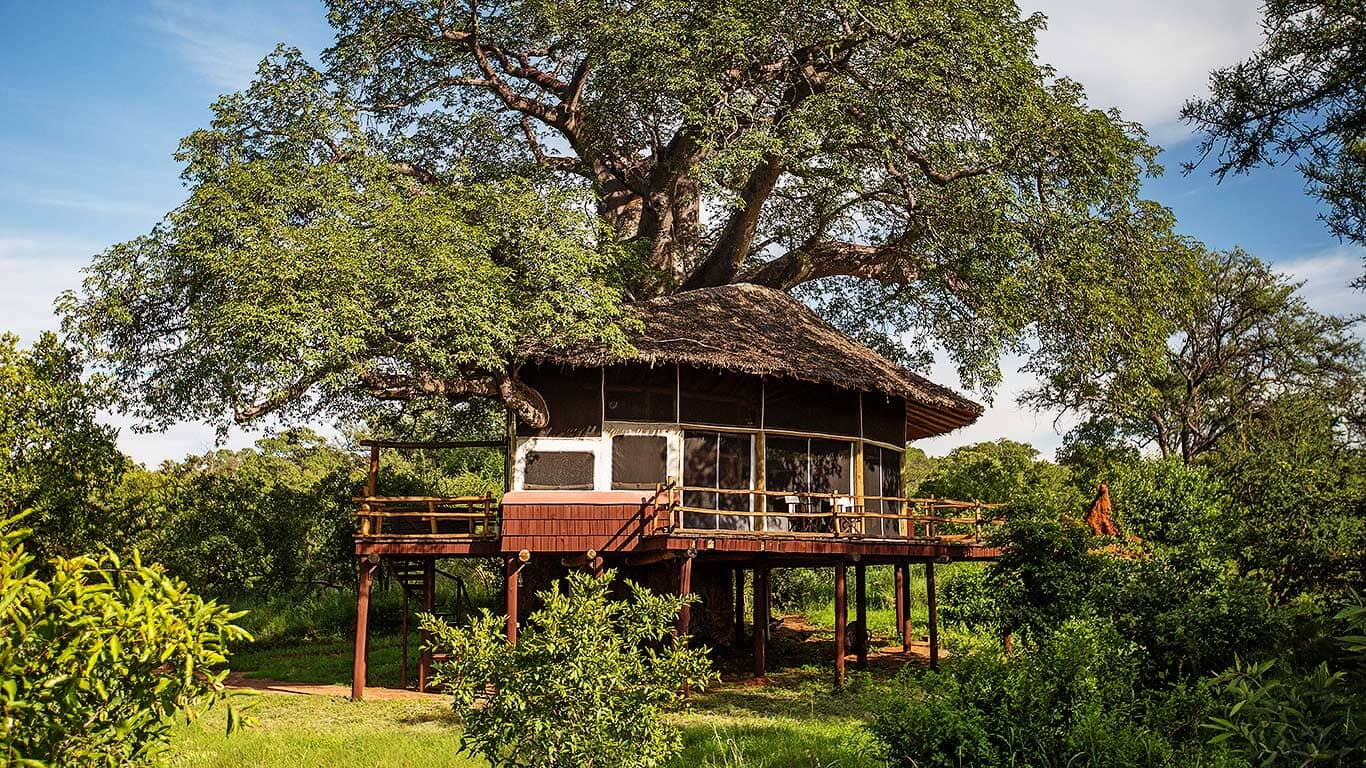 Elewana Tarangire Treetops - Tarangire National Park