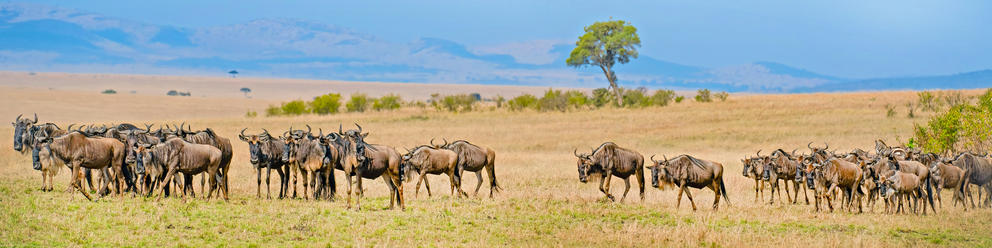 Serengeti National Park