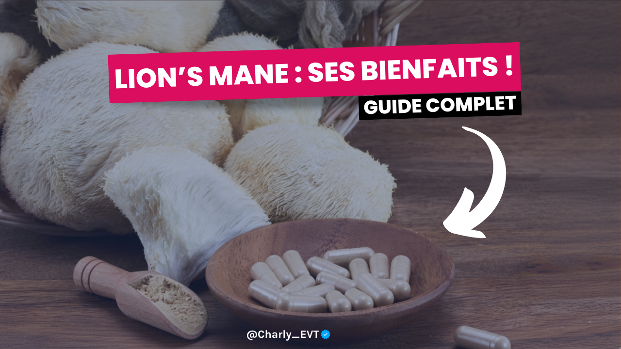 Lion’s Mane : bienfaits et avis