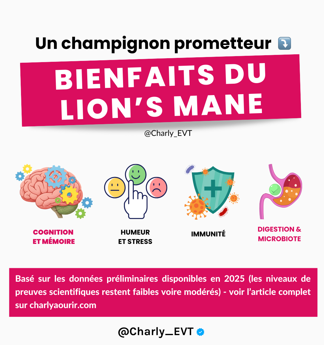 Bienfaits du lion's mane