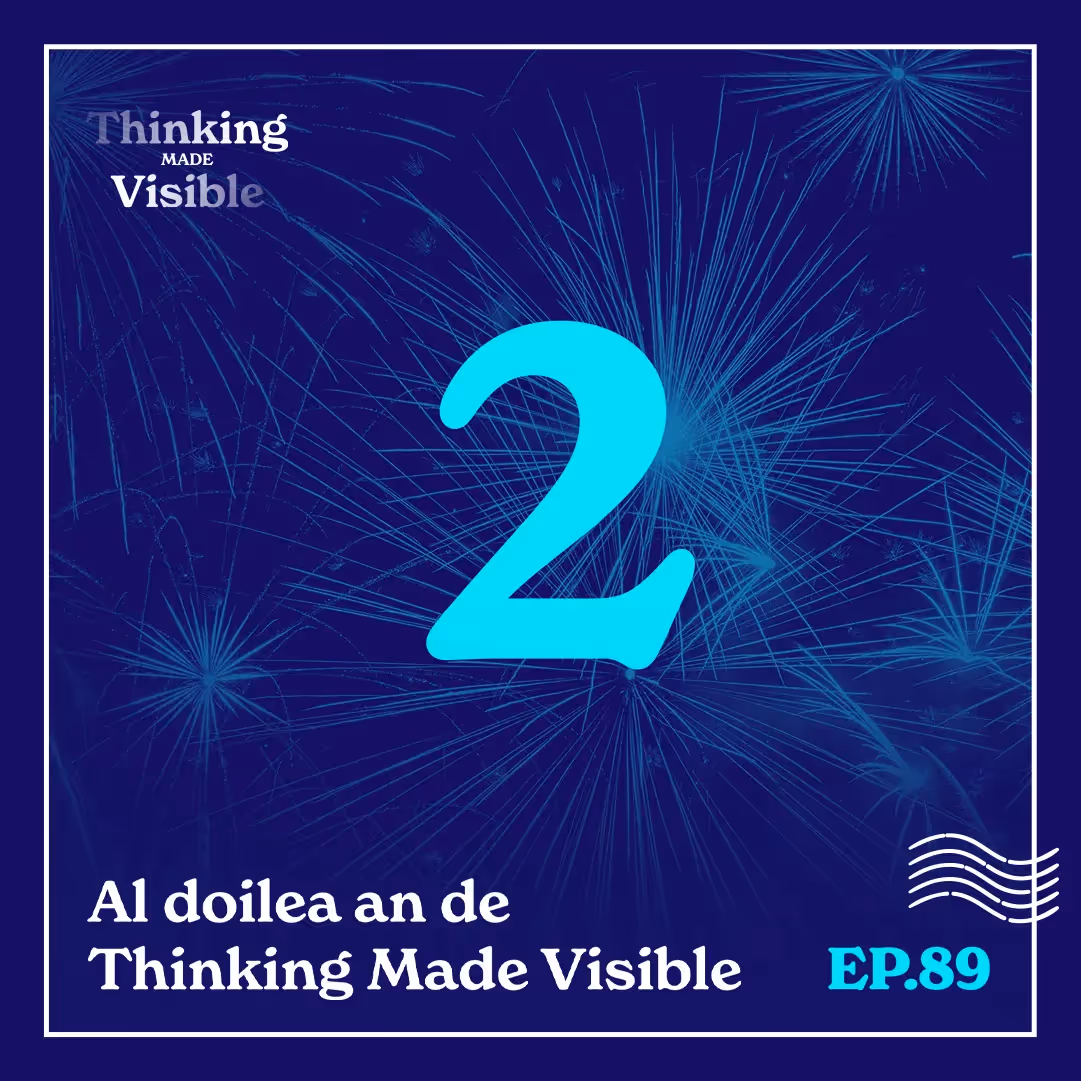 Ep 89: Al doilea an de Thinking Made Visible 
