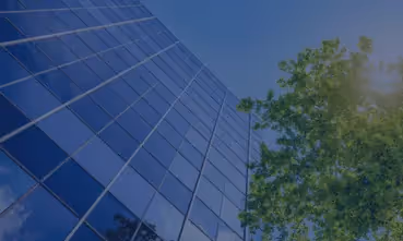 Optimisation and Efficiency are the New Income