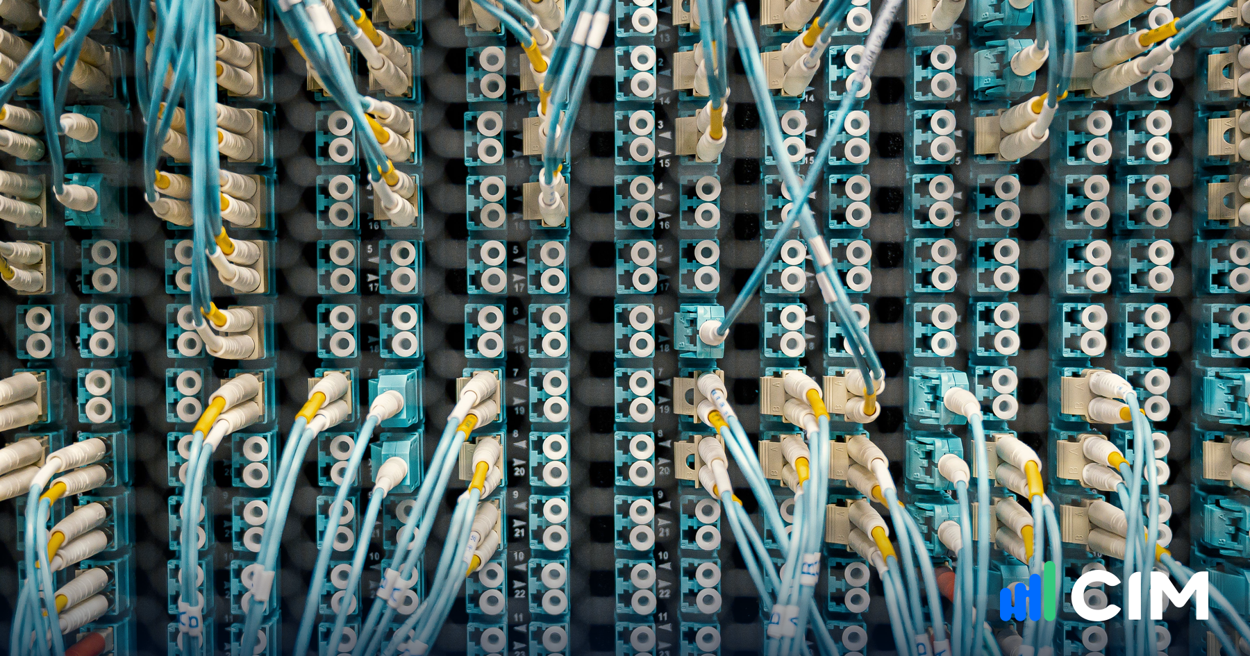 Close-up of a fibre optic patch panel with hundreds of labelled ports and connected cables, illustrating the scale of the data layer behind building analytics