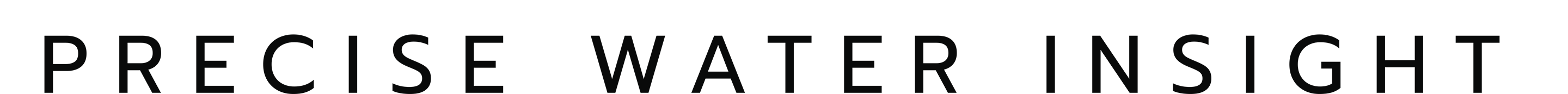 Text reading 'PRECISE WATER INSIGHT' in uppercase letters on a white background.