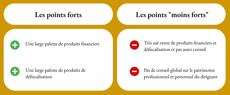 Selexium points forts et moins forts| Noun Partners, net investissement, selexium, baris stratégie, d6d