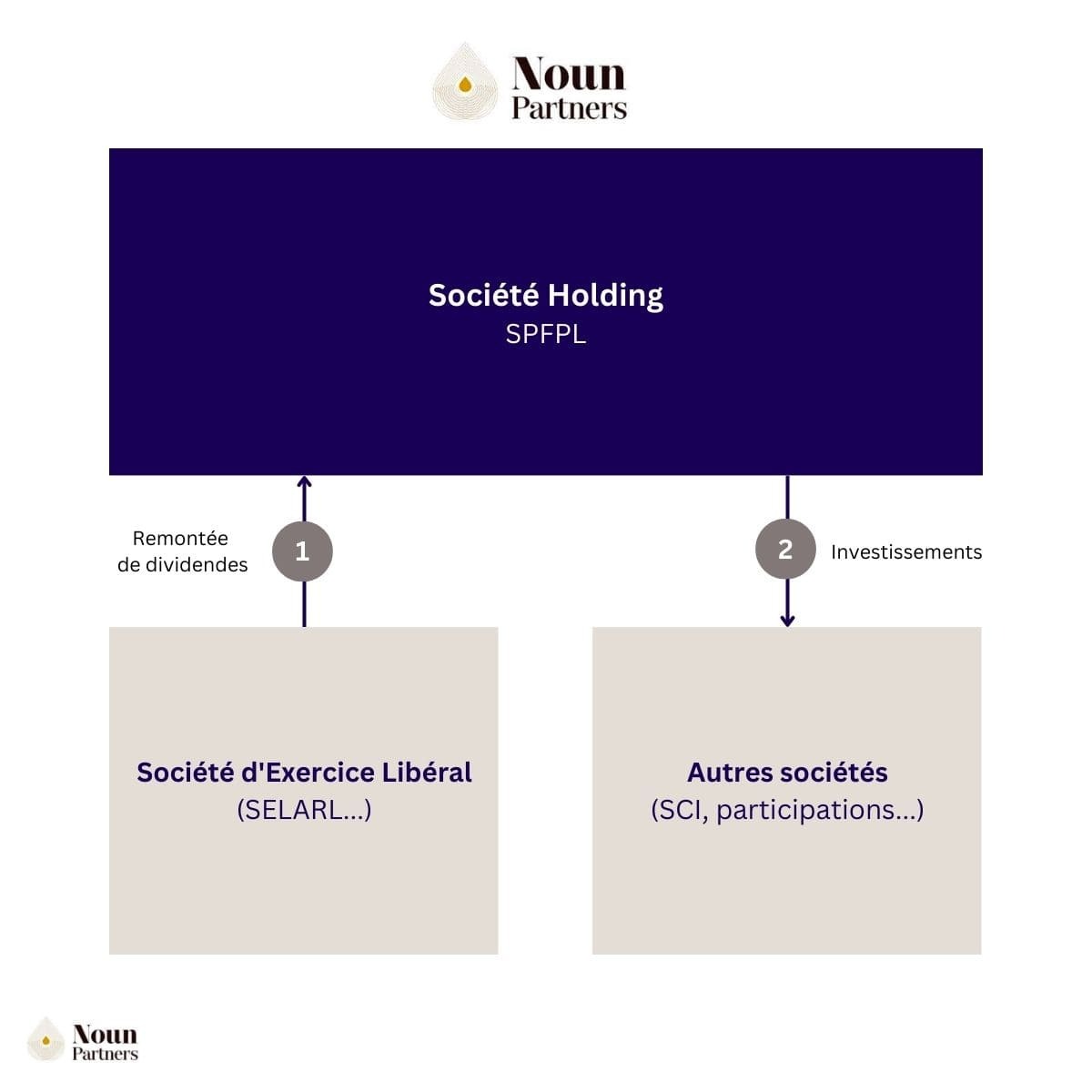 Schéma SELARL holding médecin