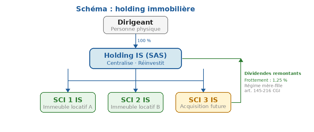 Architecture type : holding IS (SAS) → SCI IS → biens immobiliers