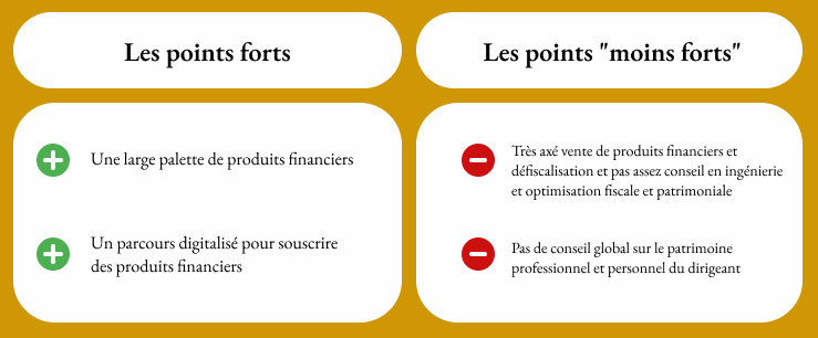 Net investissement points forts et moins forts| Noun Partners, net investissement, selexium, baris stratégie, d6d