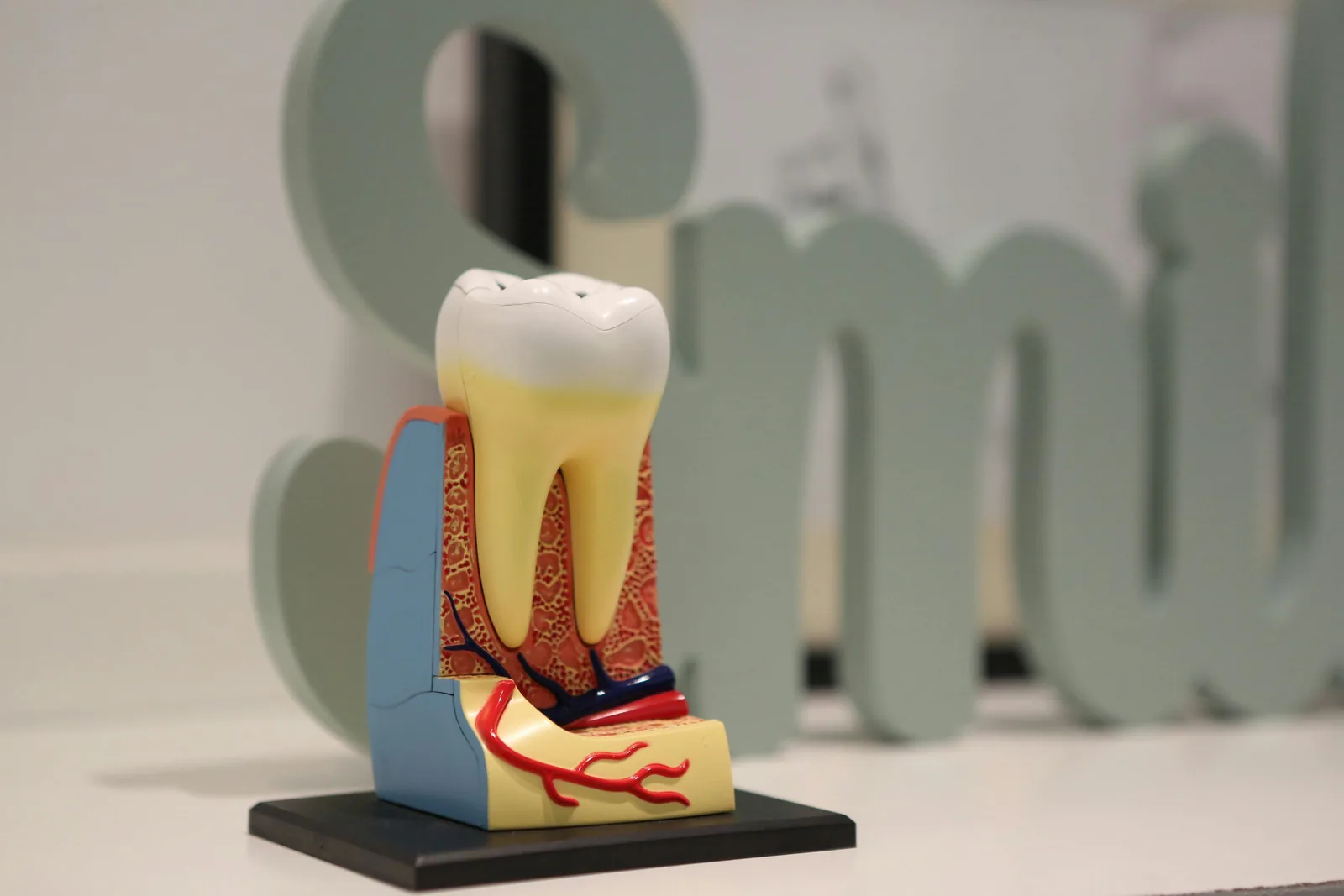 Opter pour le passage en SELARL lorsque l'on est dentiste