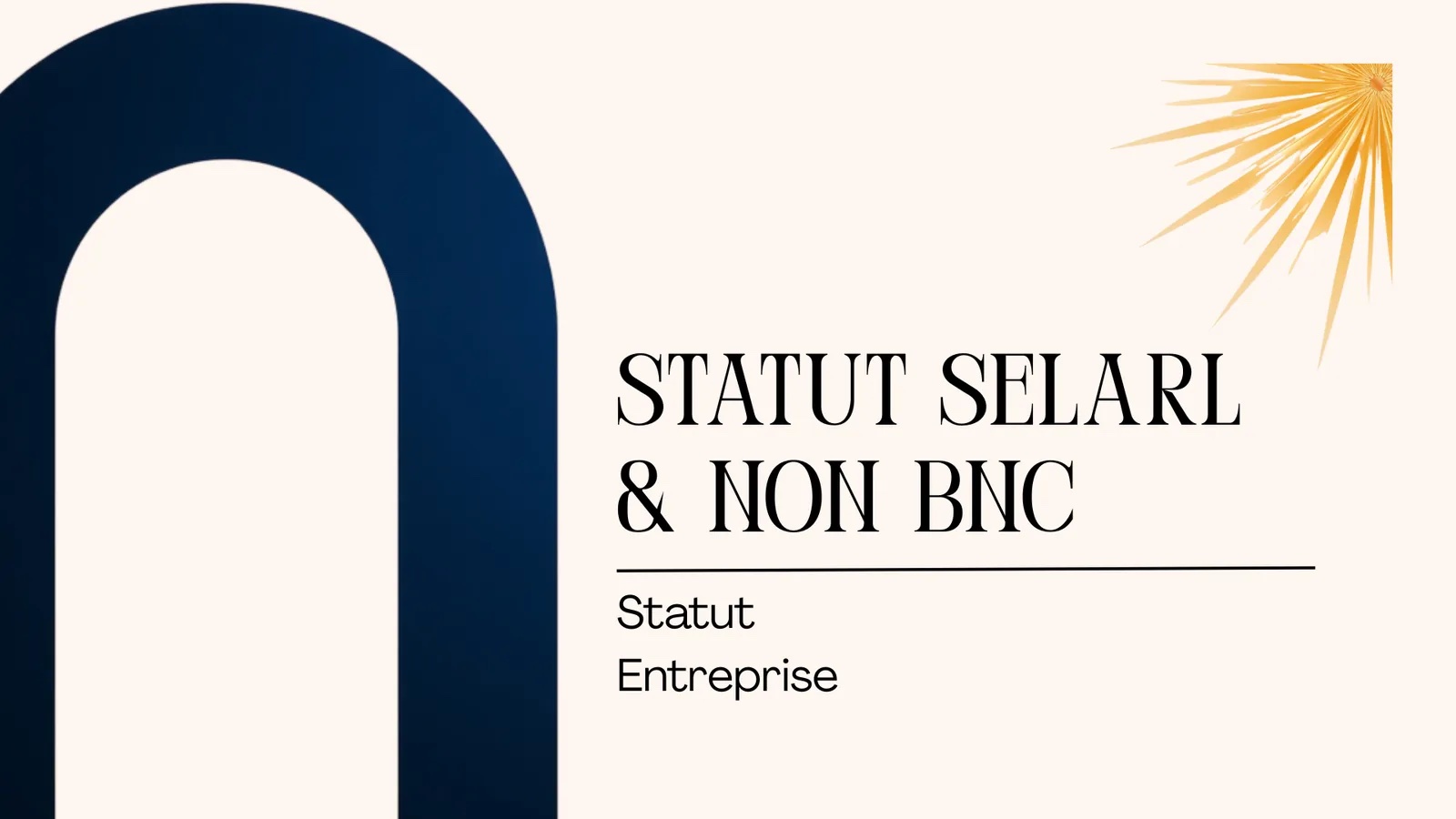 Transformation activité BNC en SELARL : 5 étapes pour le faire en toute sérénité lorsque l’on exerce en profession libérale