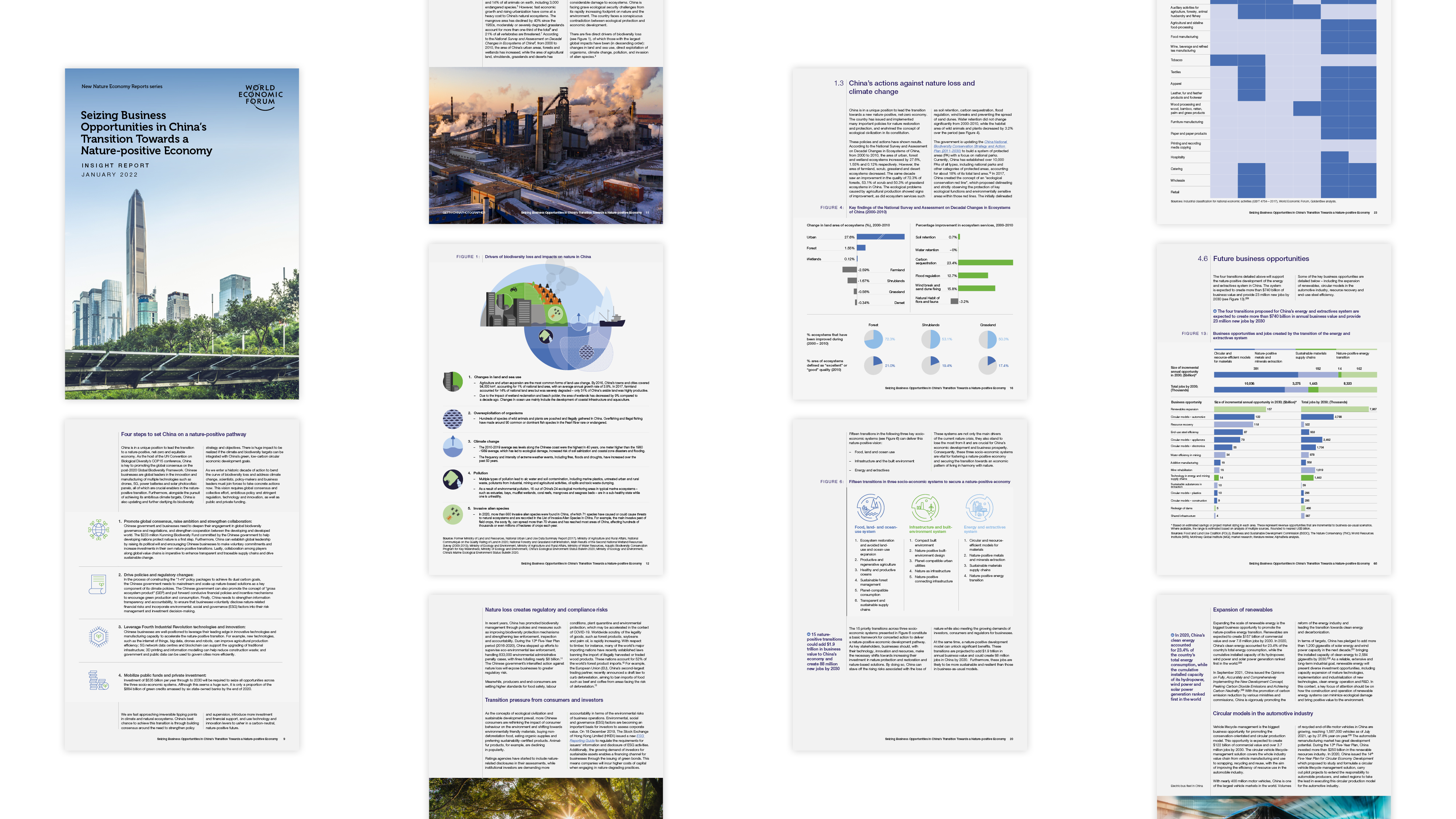 World Economic Forum report — editorial content page
