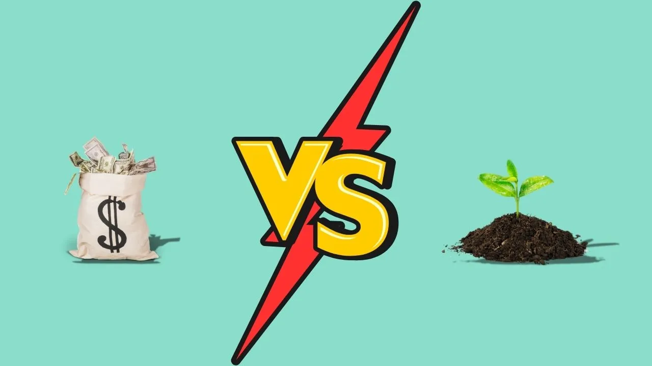 Organikus social vs. fizetett hirdetések webshopoknak – Melyik hoz több forgalmat?